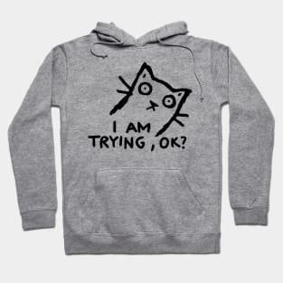 I am trying, ok? Hoodie